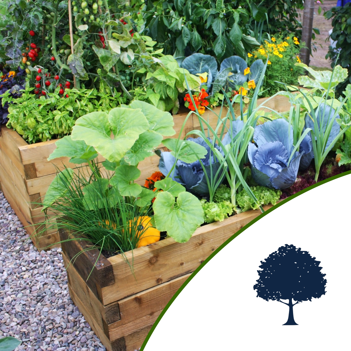 organic ecologic food marbella benahavis, fruits vegetables family activitie villa luxury