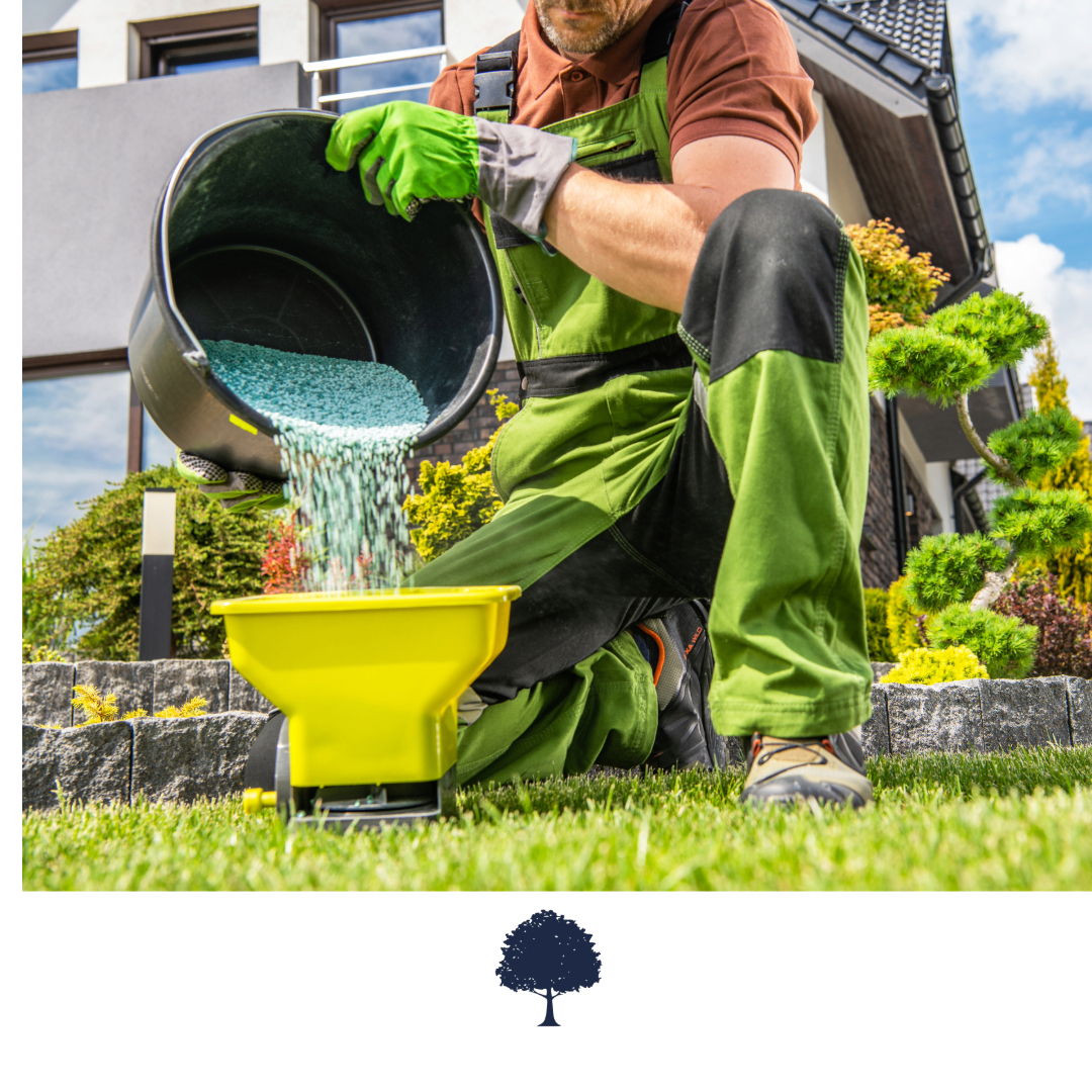 Professional gardener applying winter fertilizer to lawn with a spreader in Marbella, ensuring healthy growth.