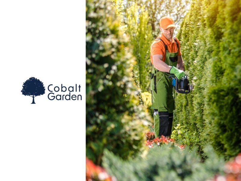 The Art of Hedge Trimming: How Cobalt Garden Maintains Elegance in Marbella and&nbsp;Benahavís