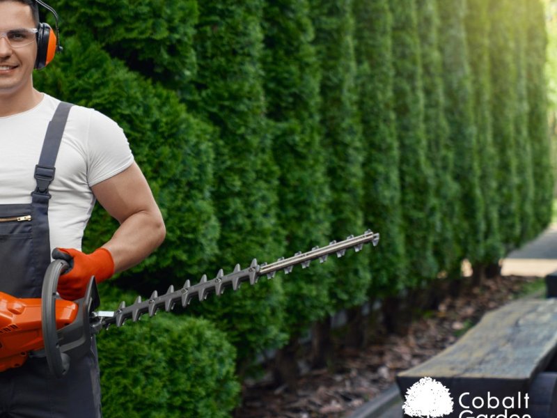 Why Hiring a Professional Gardening Team in Marbella Saves Time, Money and&nbsp;Stress