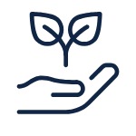 Garden maintenance services in Marbella and Benahavís / Mantenimiento de jardines en Marbella y Benahavís