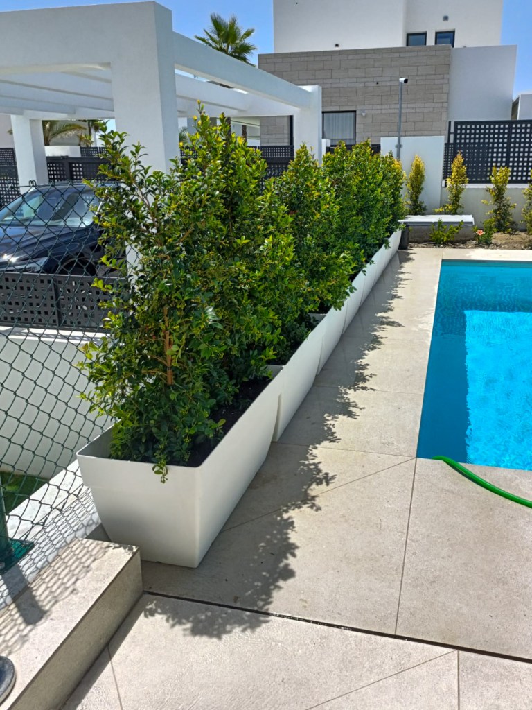 Green plant wall for privacy in a luxury villa in marbella and benahavis